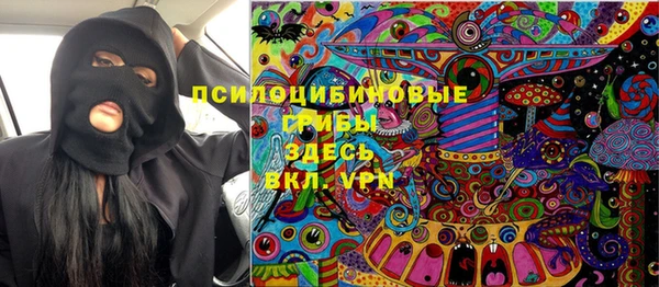 a pvp Аркадак