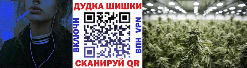 купить  цена  Чудово  mega   Конопля конопля 